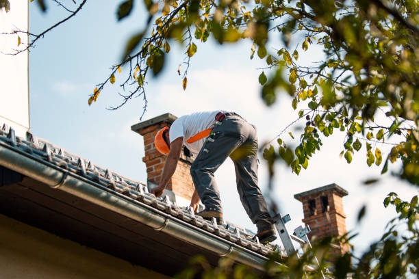 Residential Roof Replacement in Litchfield, MN