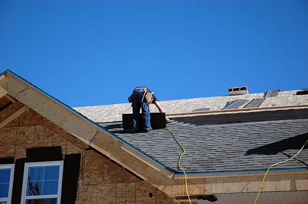 Best Slate Roofing Contractor  in Litchfield, MN