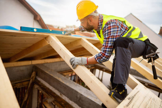 Best Local Roofing Companies  in Litchfield, MN