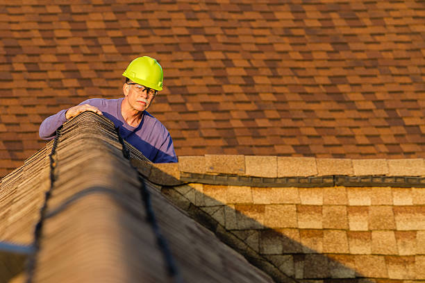 Best Flat Roof Repair Services  in Litchfield, MN
