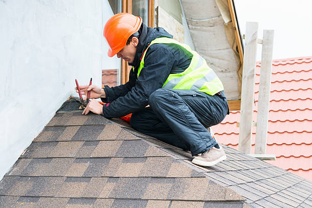Best Commercial Roofing Services  in Litchfield, MN