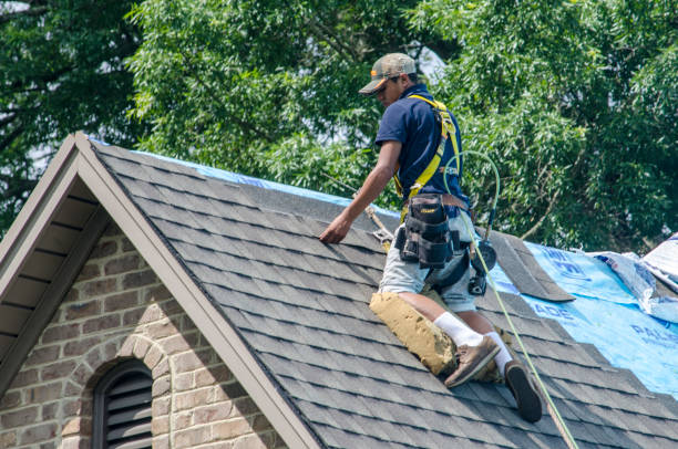 Best Roof Repair Services  in Litchfield, MN
